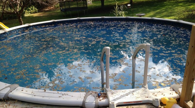Keep Birds Away from Your Pool