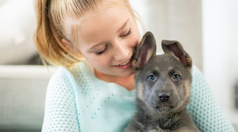 Puppy Care Guide for New Dog Parents