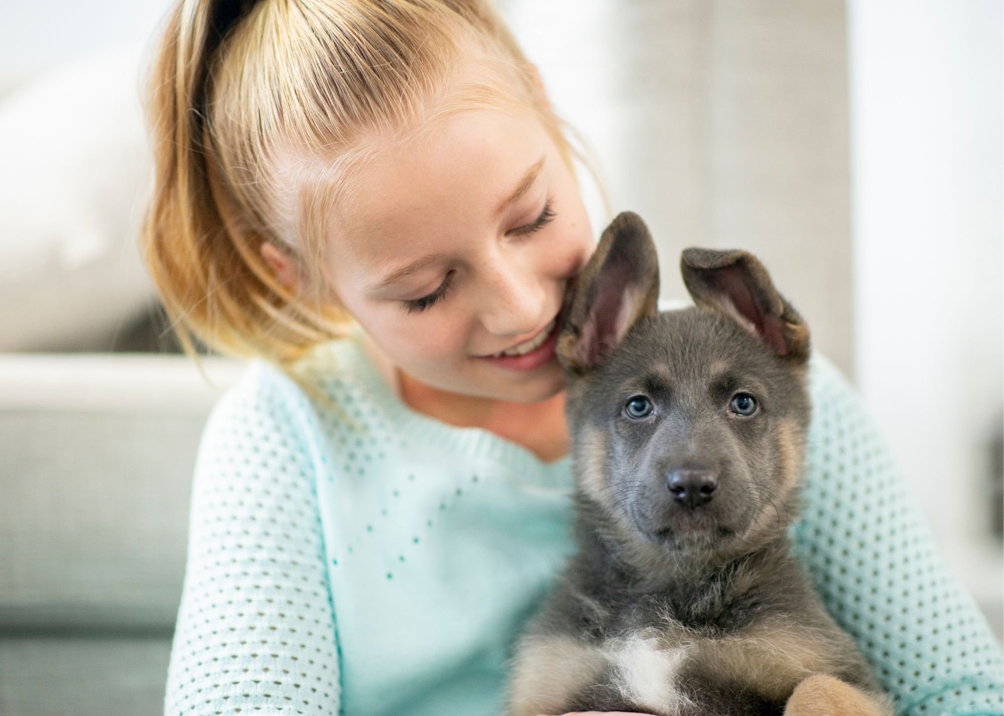 Puppy Care Guide for New Dog Parents 
