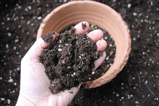 Tips For Choosing Soil Treatment Suppliers 