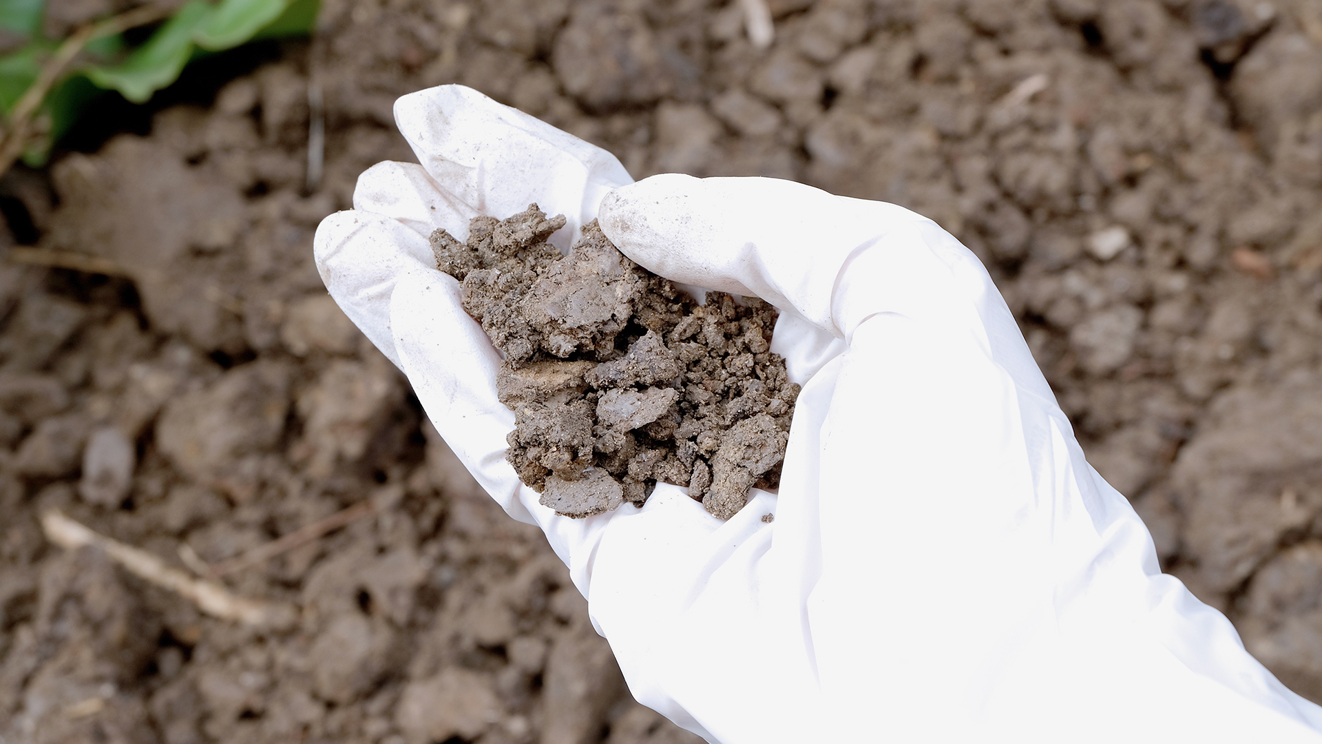 Tips For Choosing Soil Treatment Suppliers 