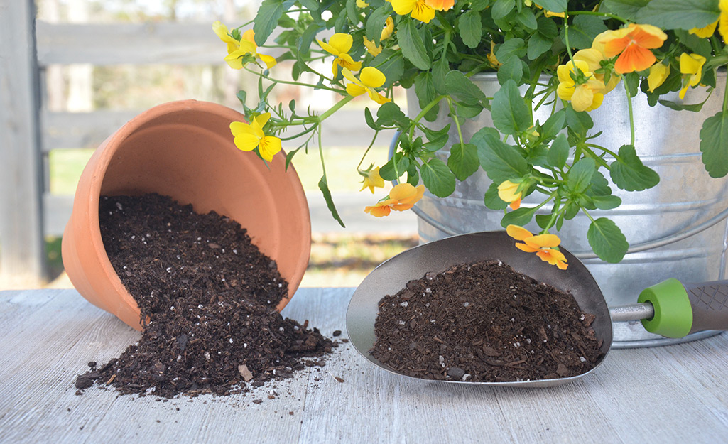 Tips For Choosing Soil Treatment Suppliers 