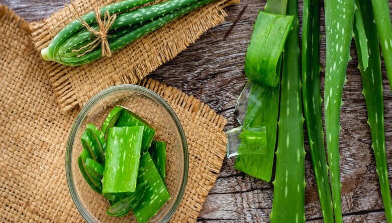 Benefits Of Aloe vera For Skin