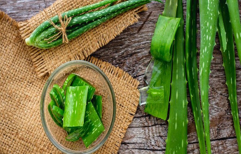 Benefits Of Aloe vera For Skin