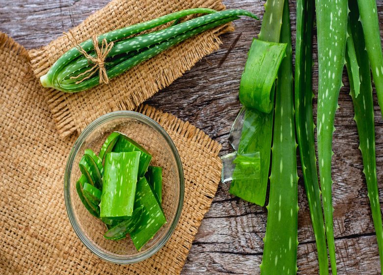 Benefits Of Aloe vera For Skin 