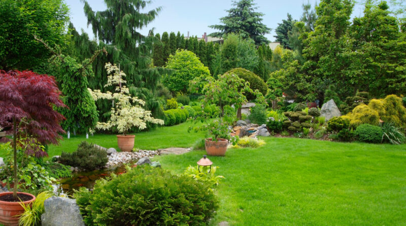Maintaining Your Outdoor Space