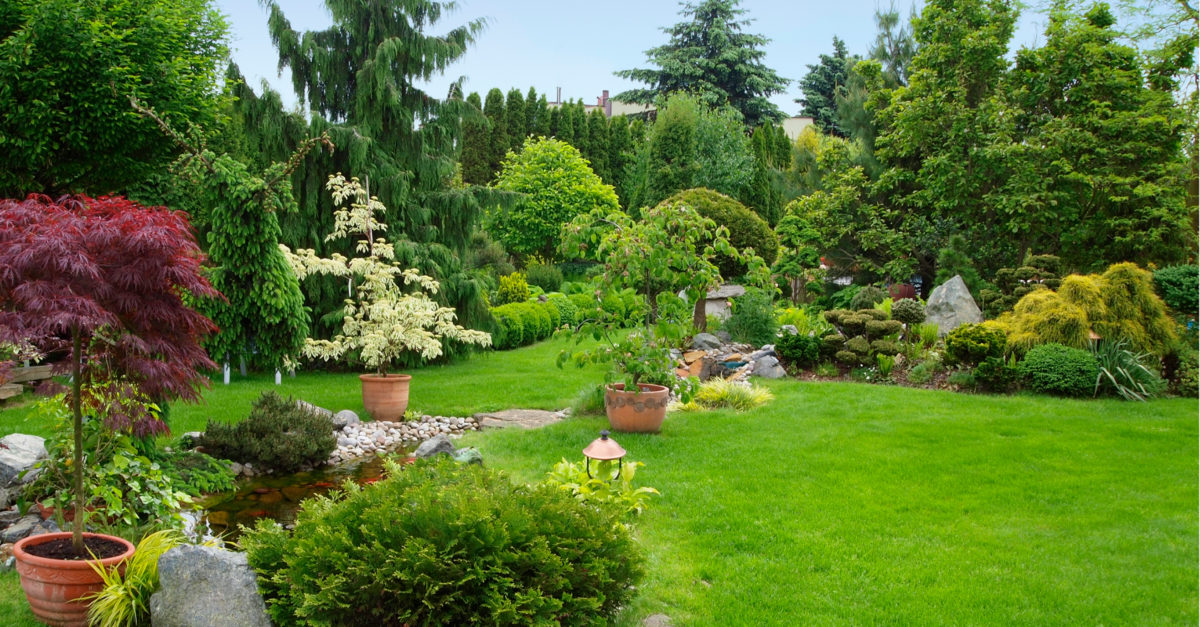 Maintaining Your Outdoor Space 