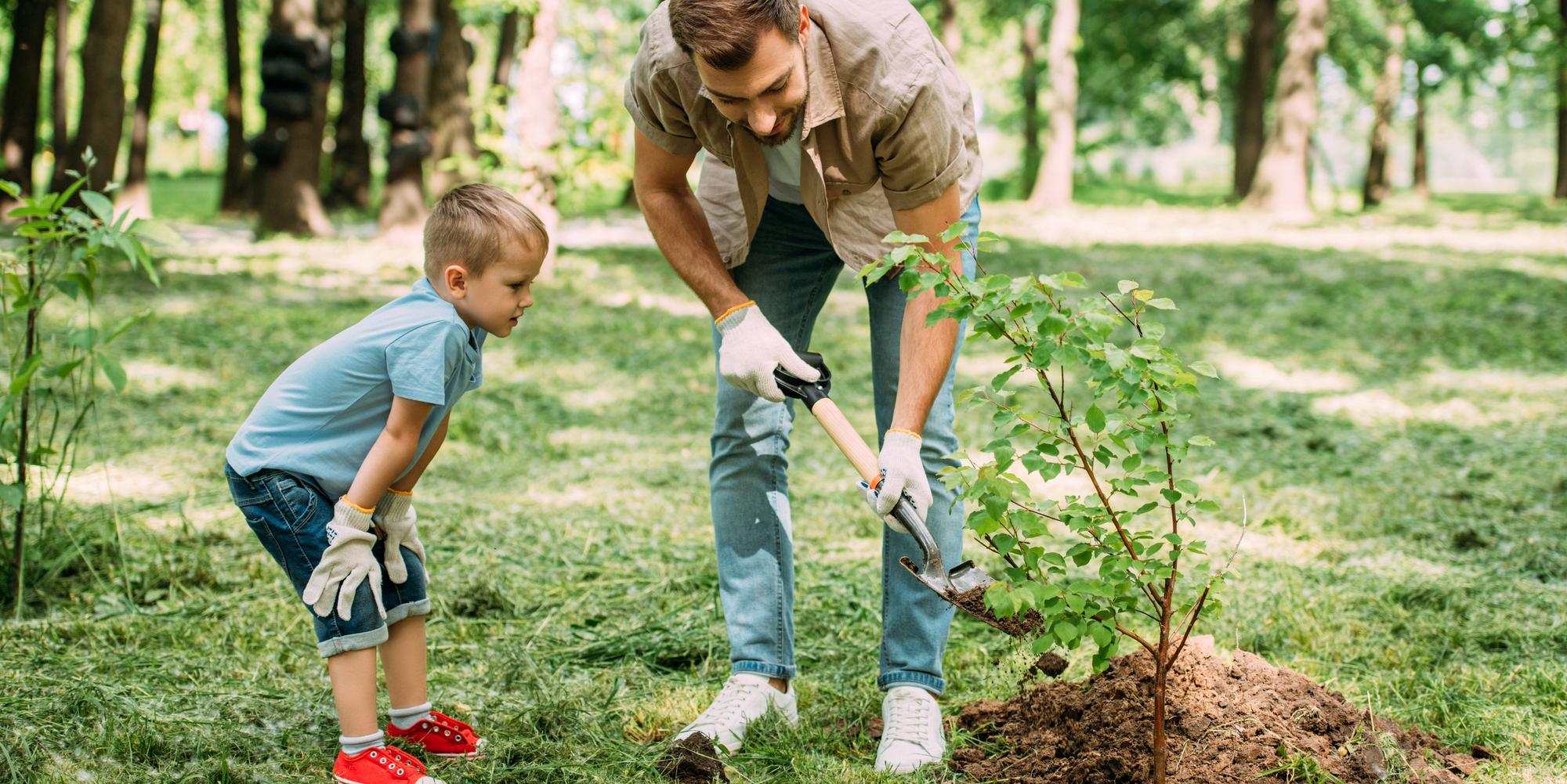 Using Top Soil To Improve Your Outdoor Space 