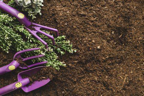 Using Top Soil To Improve Your Outdoor Space 