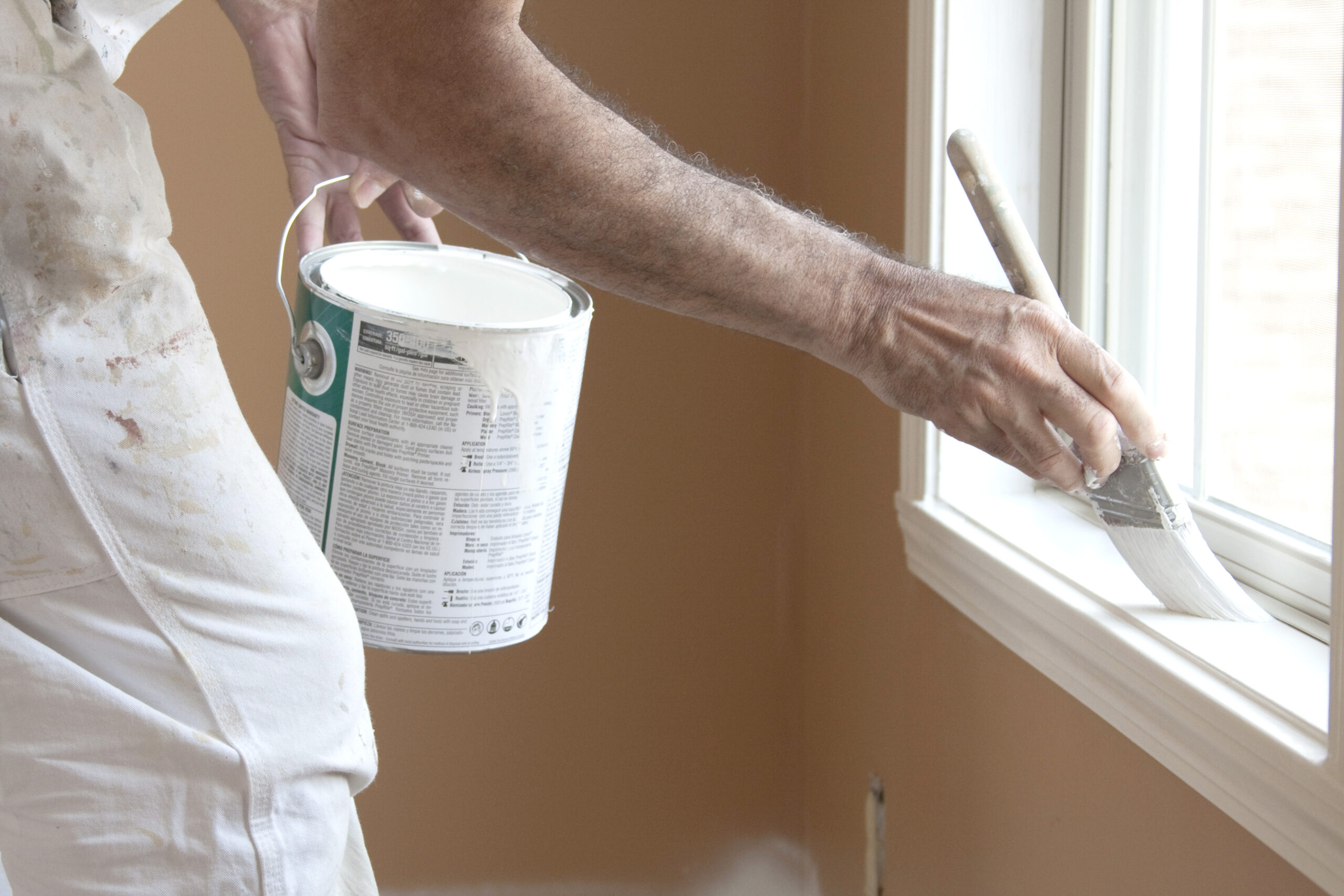 Interior Painters 