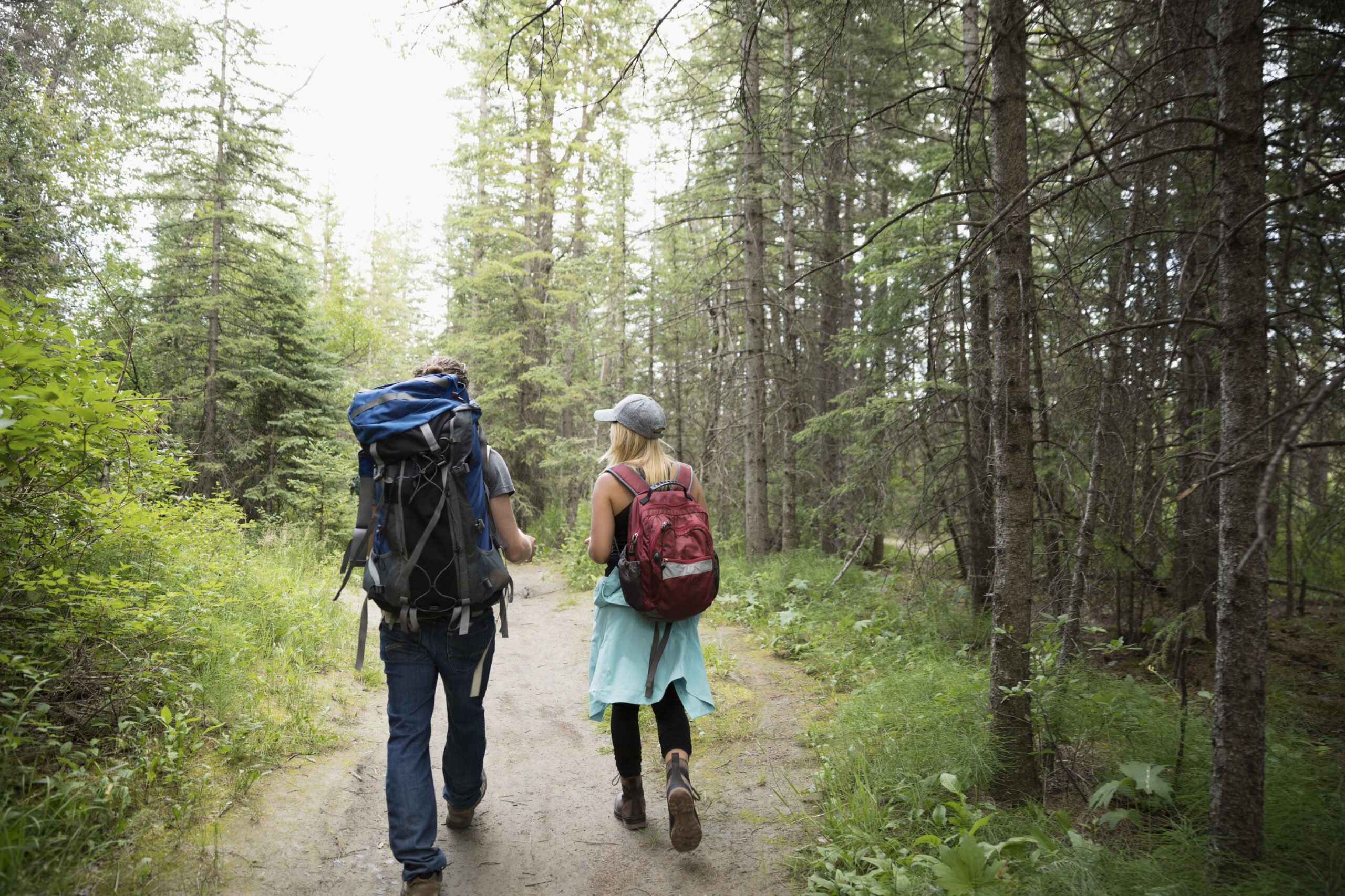 Going For a Hike In Nature 