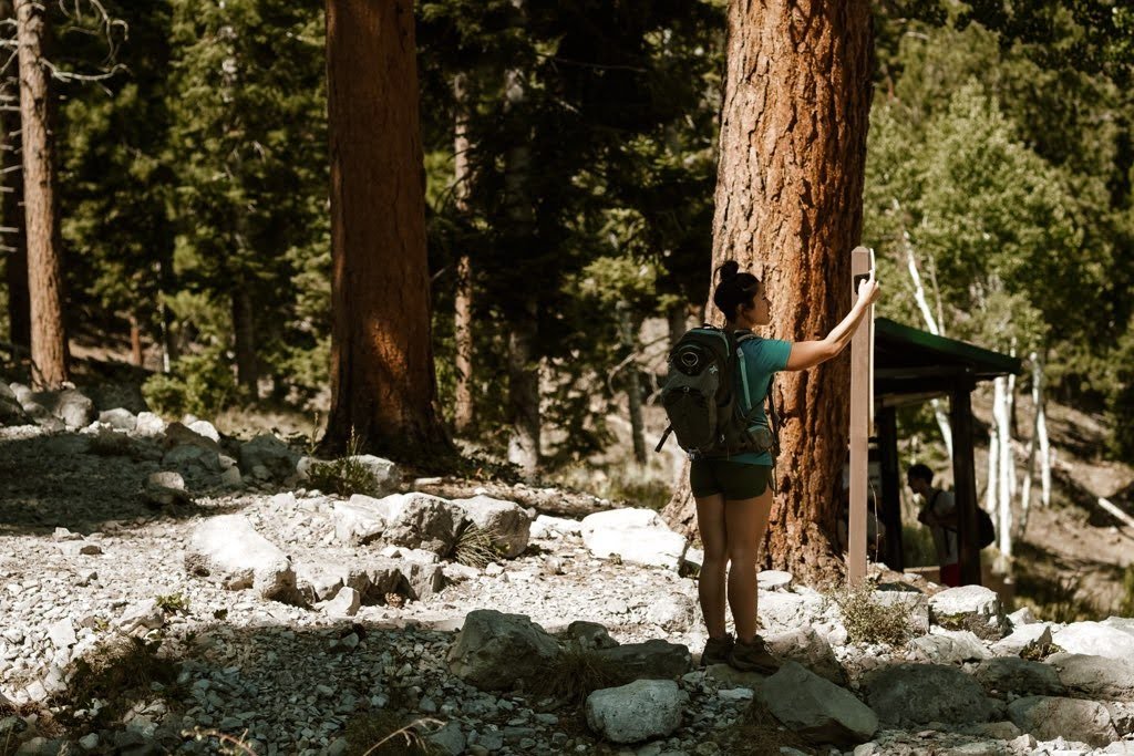 Hiking Alone 