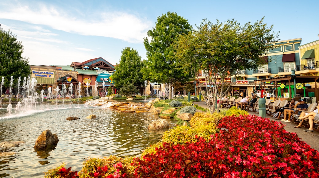 Pigeon Forge Travel Tips 