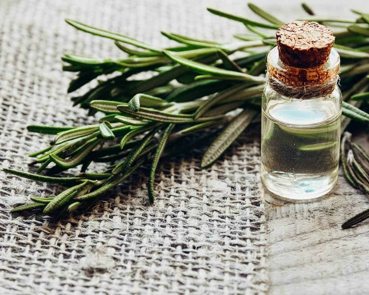 Rosemary Essential Oil 