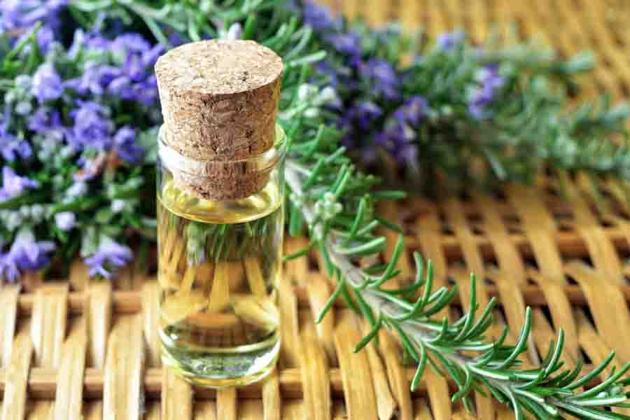 Rosemary Essential Oil 