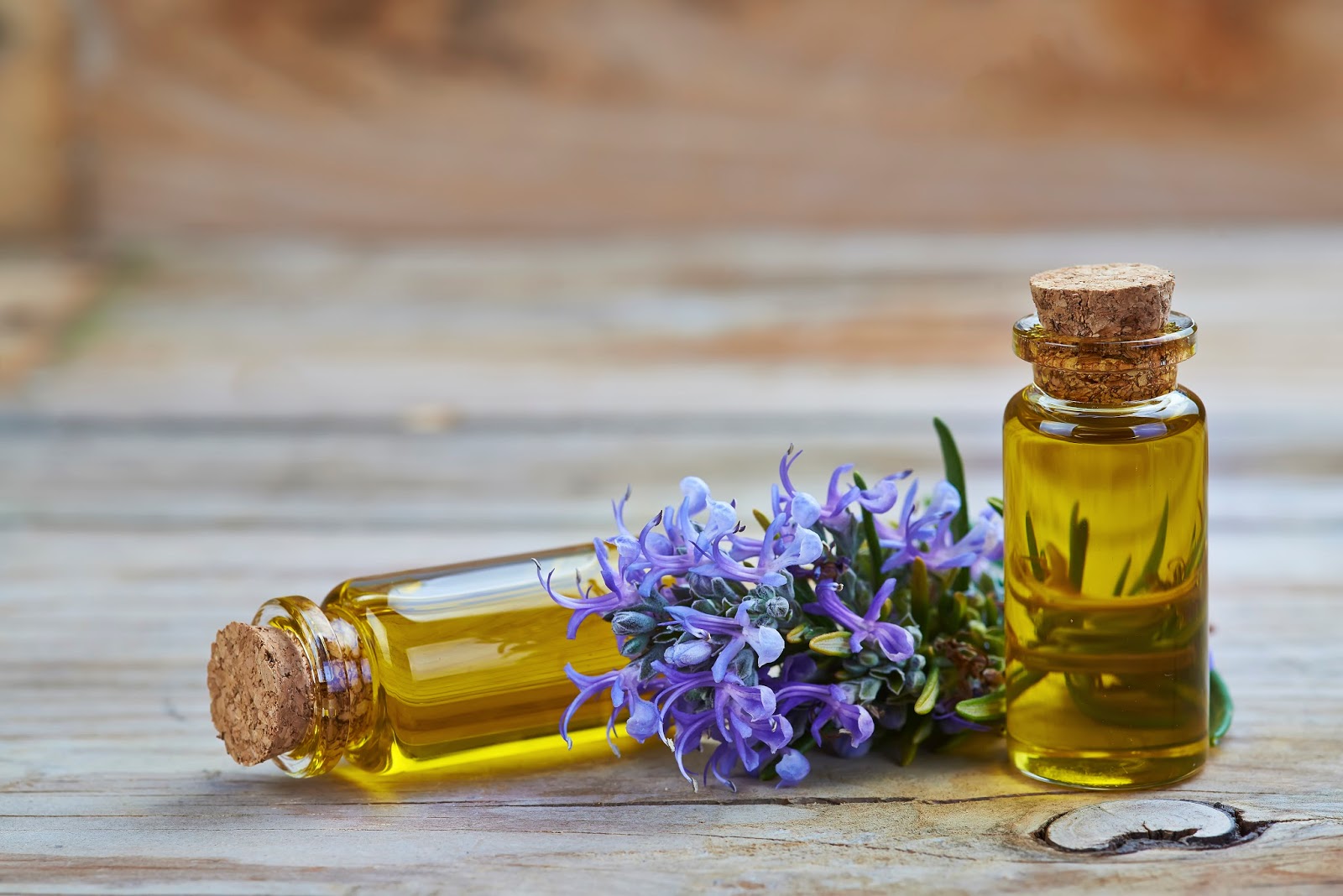 Rosemary Essential Oil 