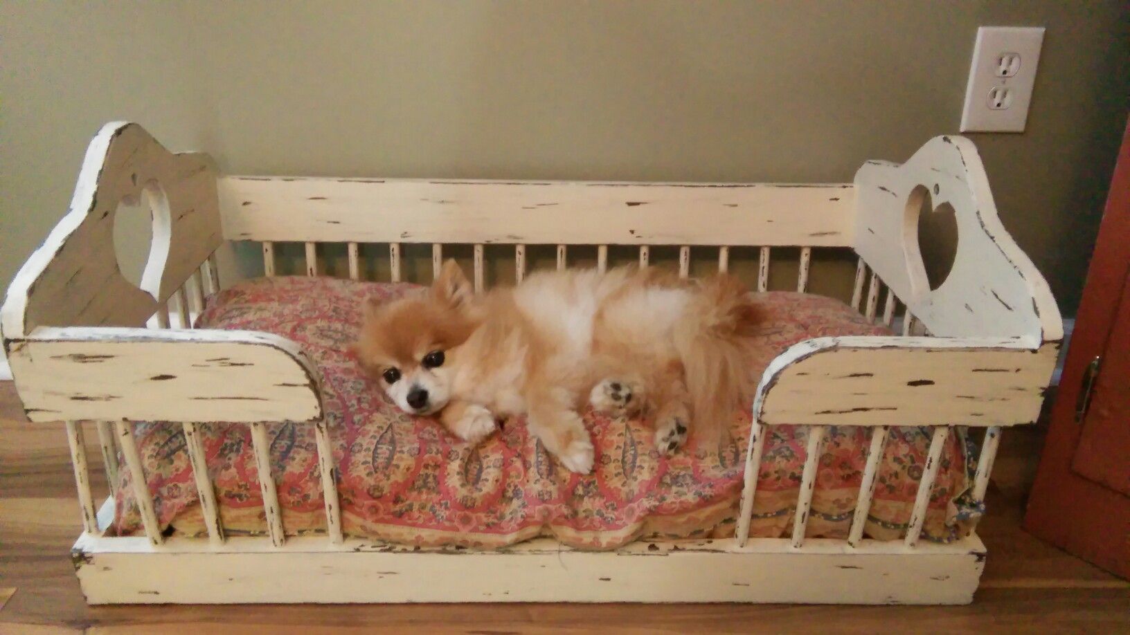 Things To Look For in a Dog Bed 