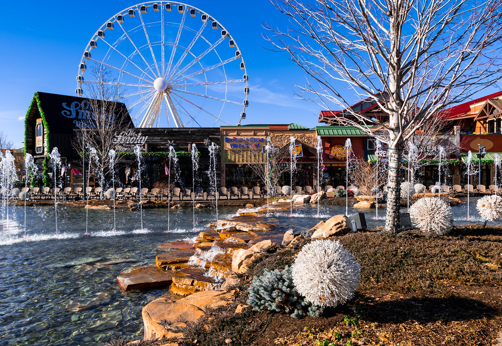 Family’s Pigeon Forge Vacation 
