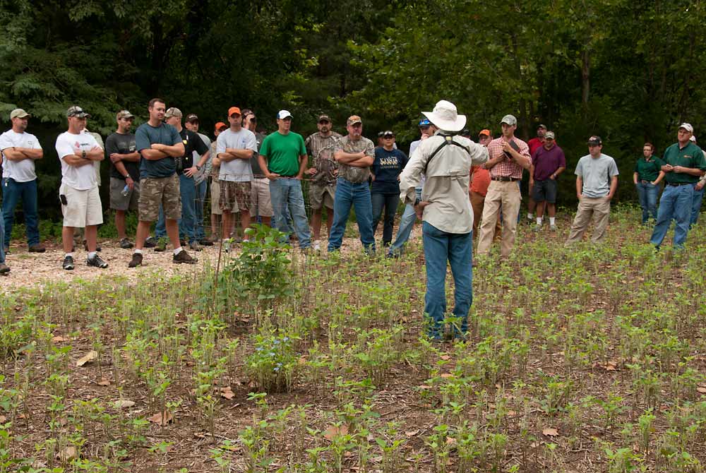 Growing Successful Food Plots 