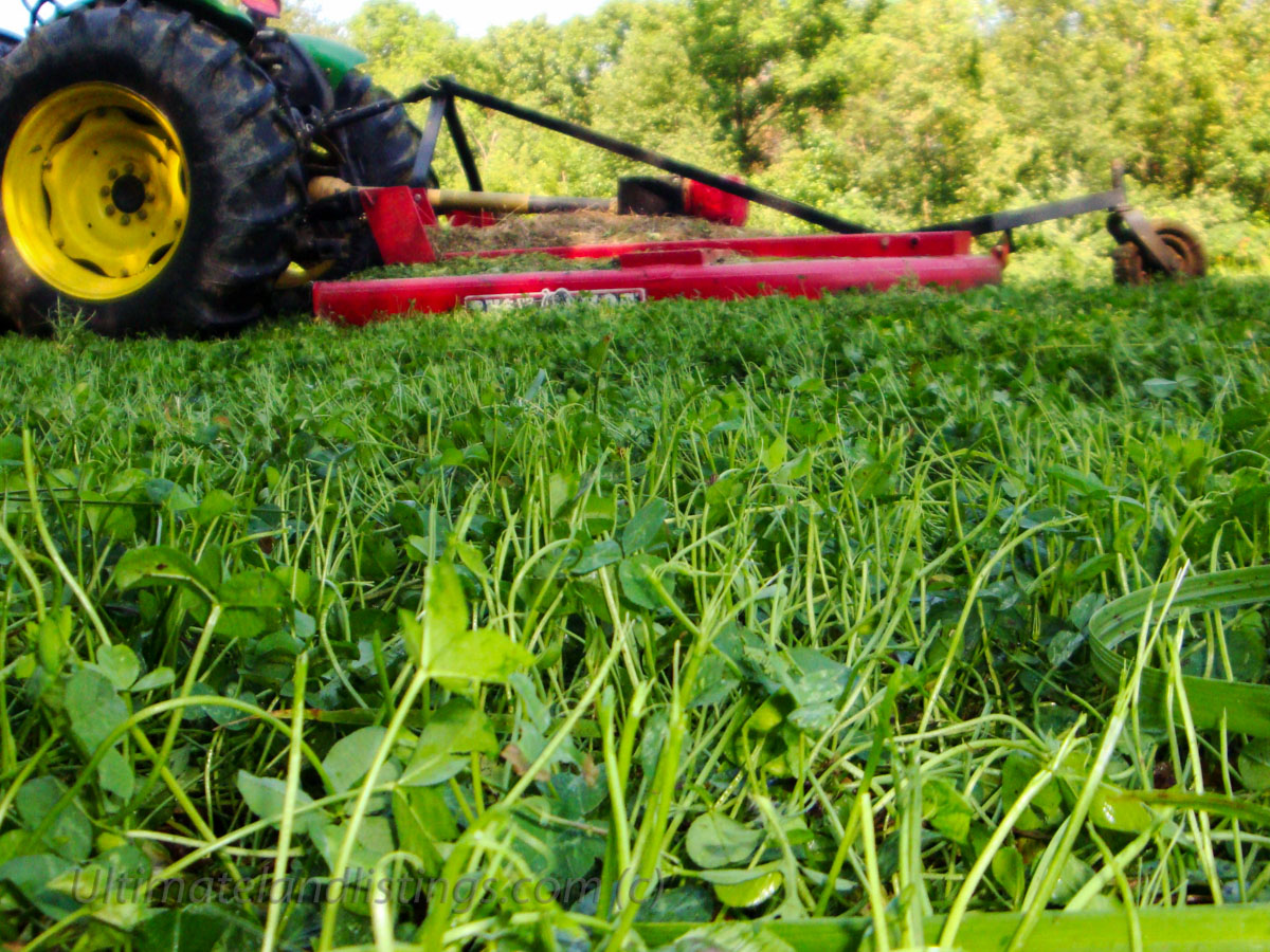 Growing Successful Food Plots 