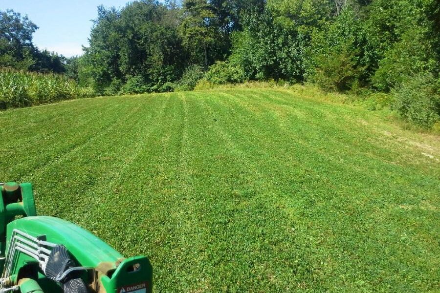 Growing Successful Food Plots