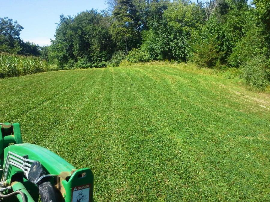 Growing Successful Food Plots 