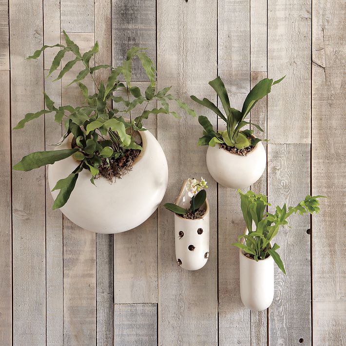 Innovative Planter Ideas 