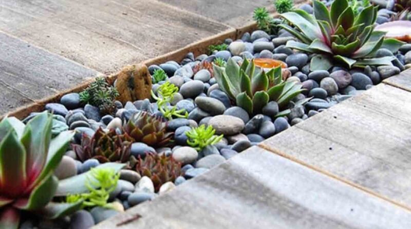 Innovative Planter Ideas