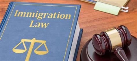 London Immigration Solicitor 