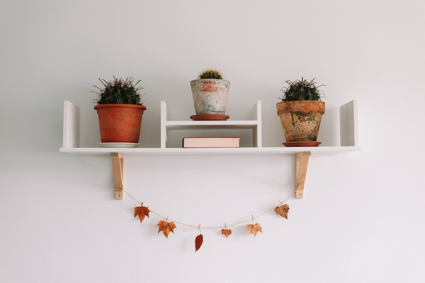 DIY floting Shelves easy DIY home decor with plants on it in white background