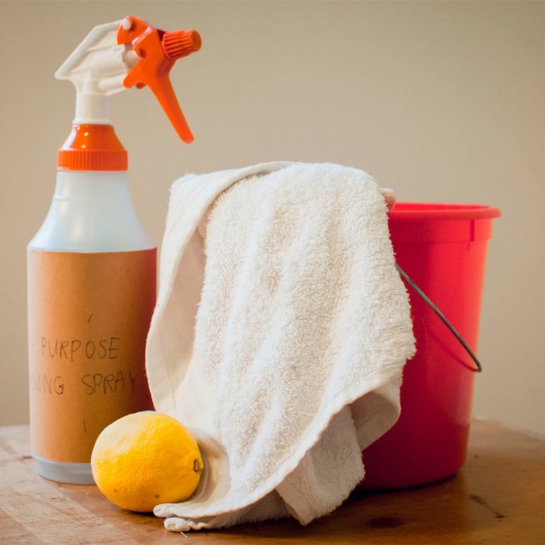 Natural Cleaning Solutions 