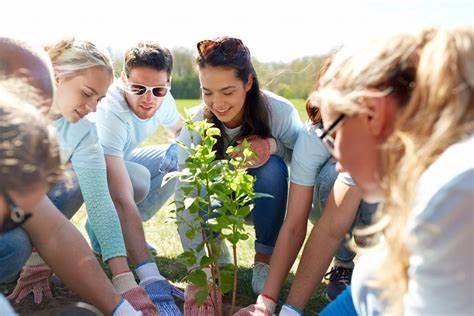 Tree Planting 