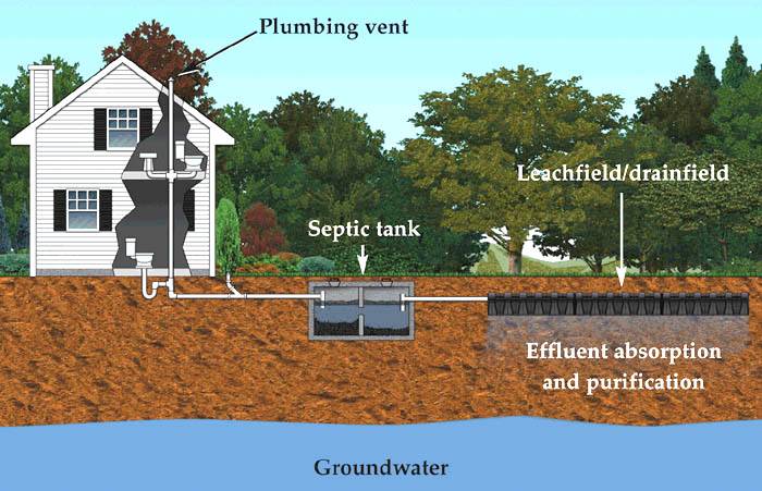 Role of Sludge in Your Septic System 