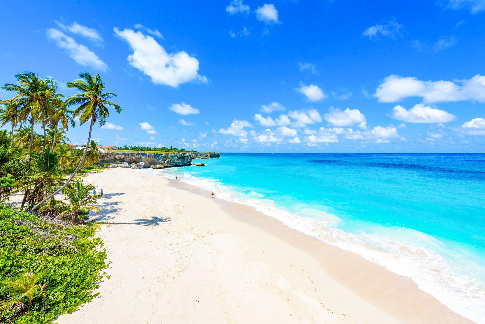 Unmissable Things to See in Barbados 