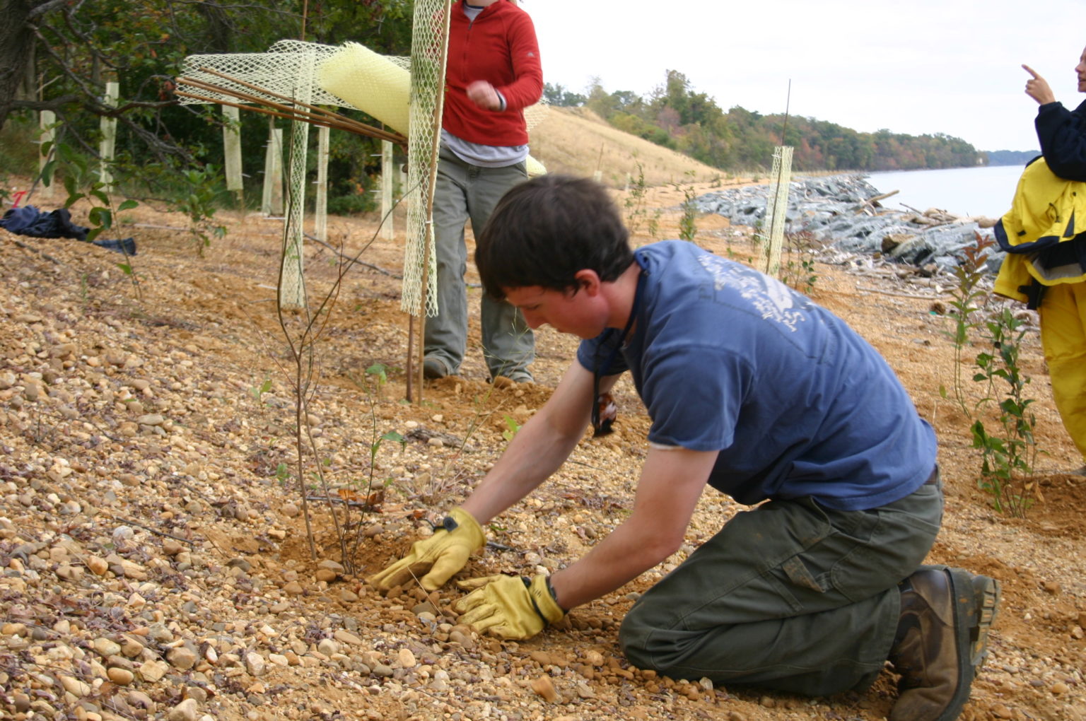 Revegetation Techniques 