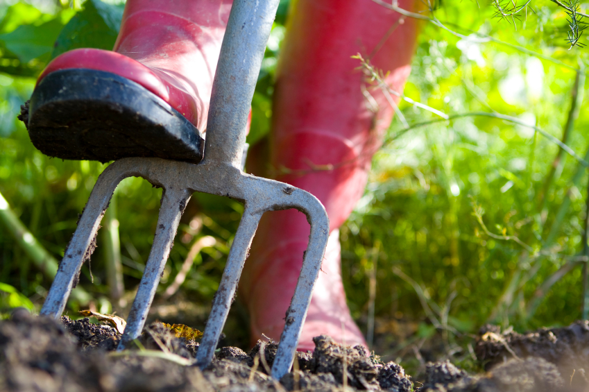 Revegetation Techniques 