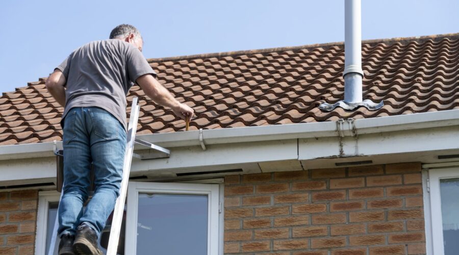 roof maintenance tips