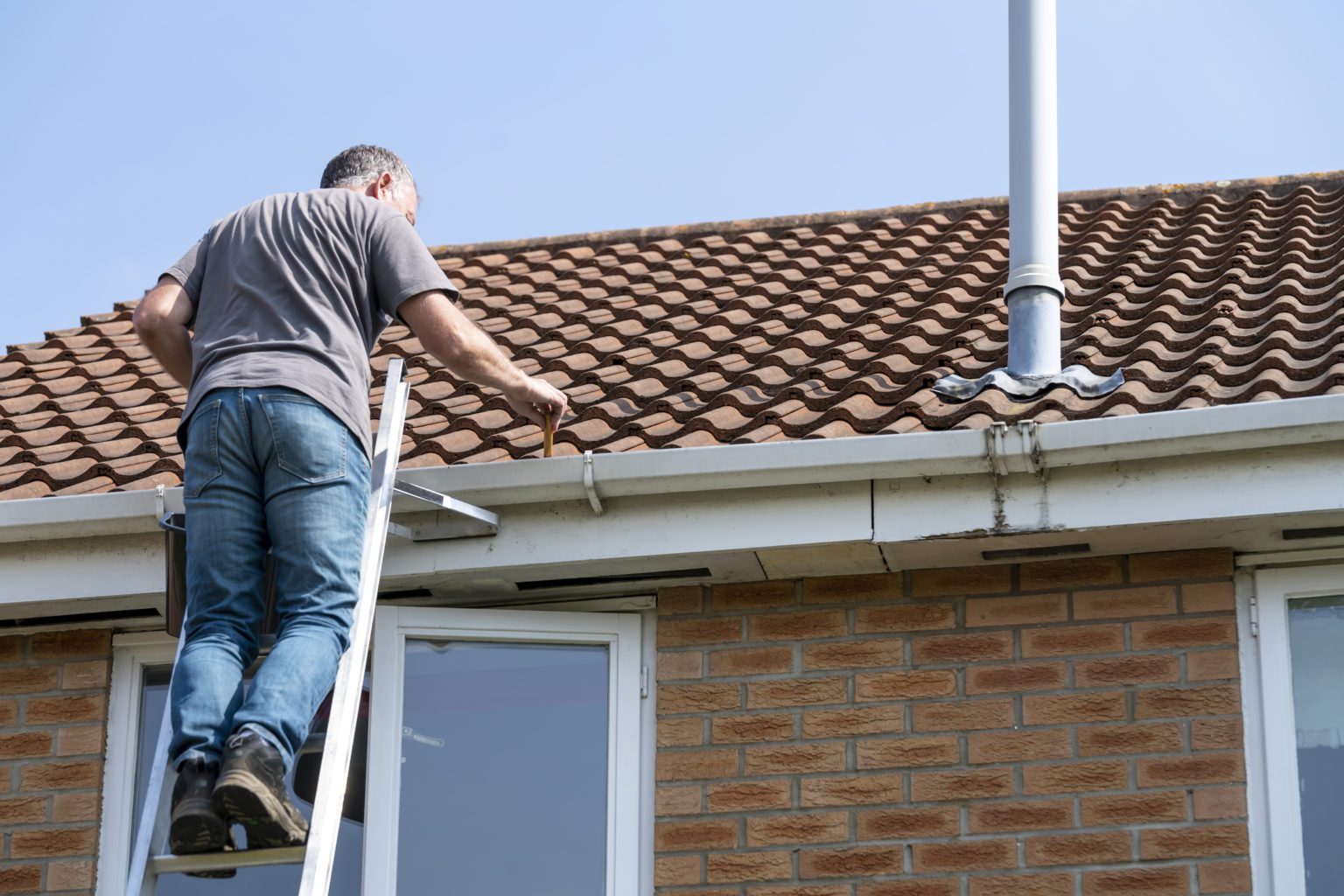 roof maintenance tips