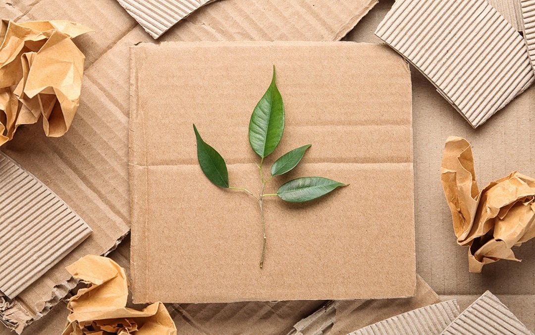 Sustainable Packaging Revolution 