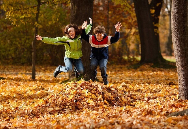 Jump in a pile of leaves