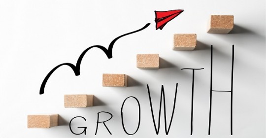 Growth Strategy for SEO Optimization 