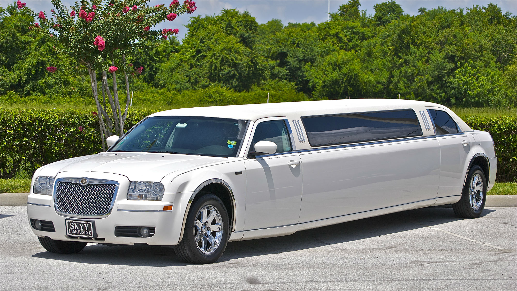 Luxury Limo Tour 