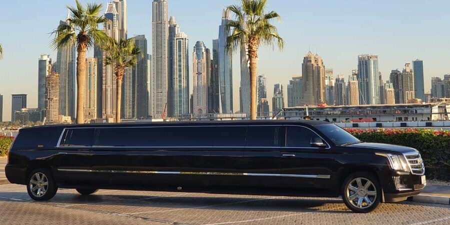 Luxury Limo Tour