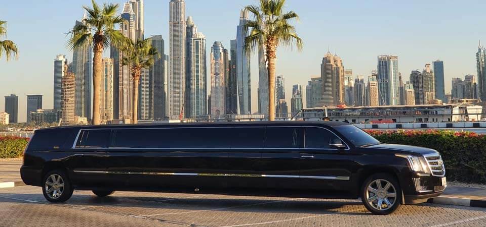 Luxury Limo Tour 