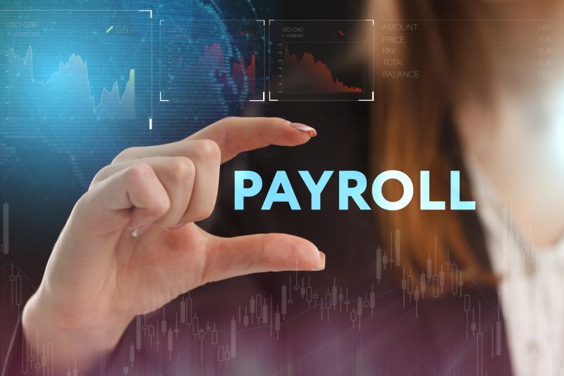 Payroll Software's Advantages for Your Business 