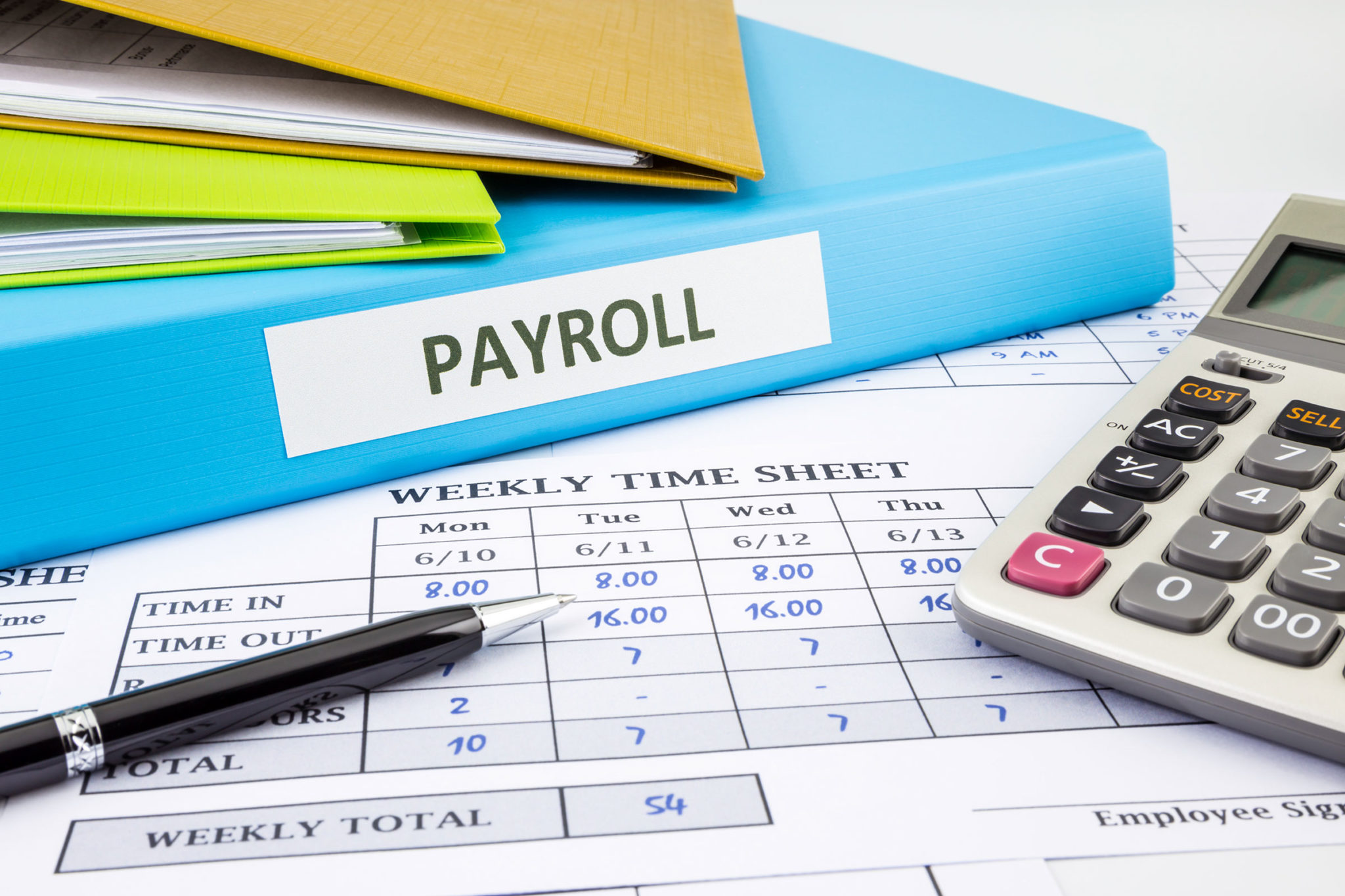 Payroll Software's Advantages for Your Business 