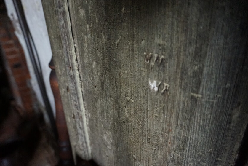 Closeup shot of Timber Wood condition