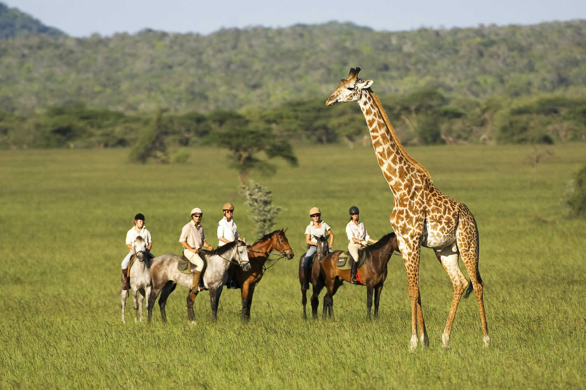 Horse Riding Safari 