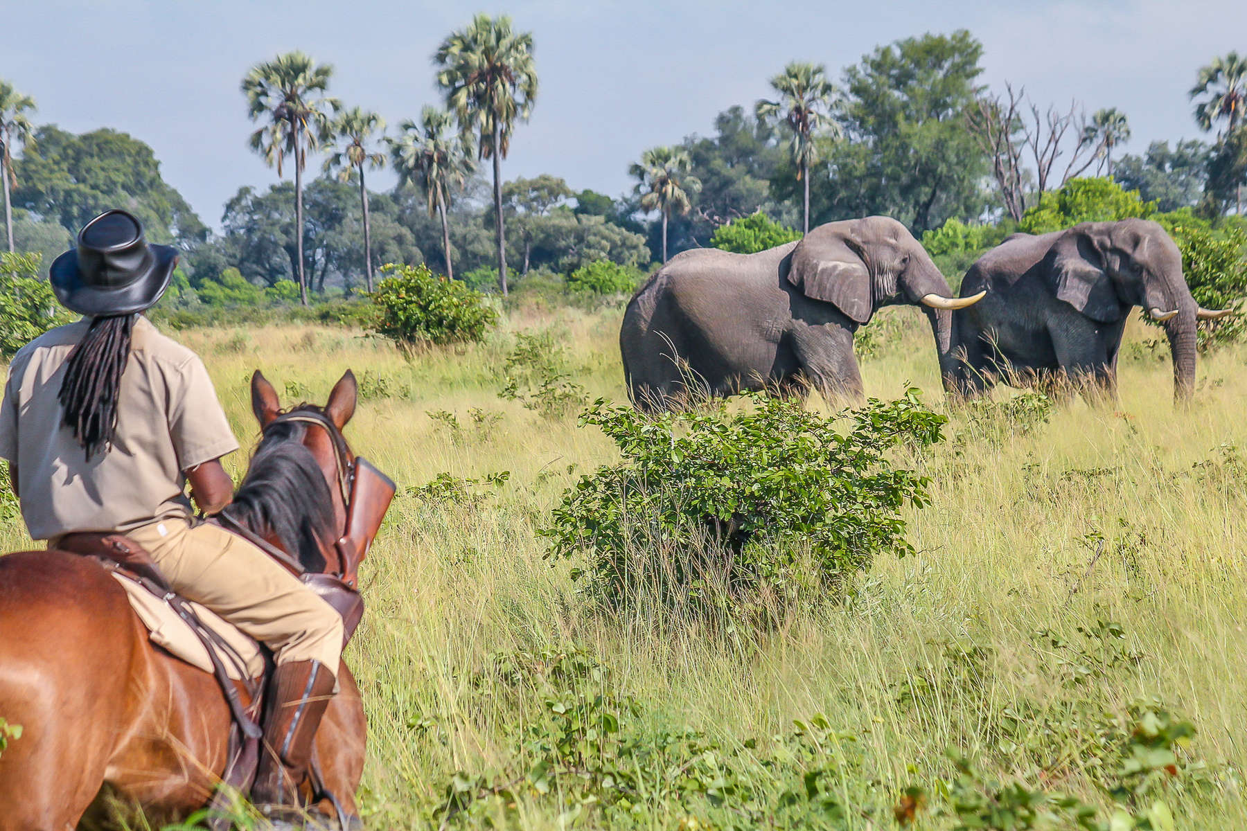 Horse Riding Safari 