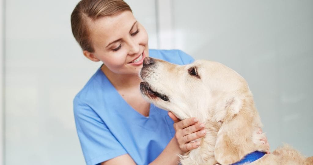Vital Veterinary Care 
